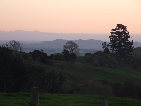 Dusk on Waiti Road