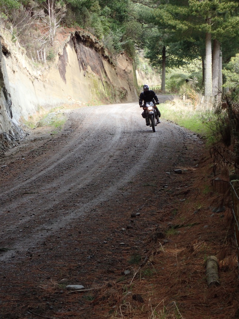 Riding Watershed and Tiriraukawa Roads