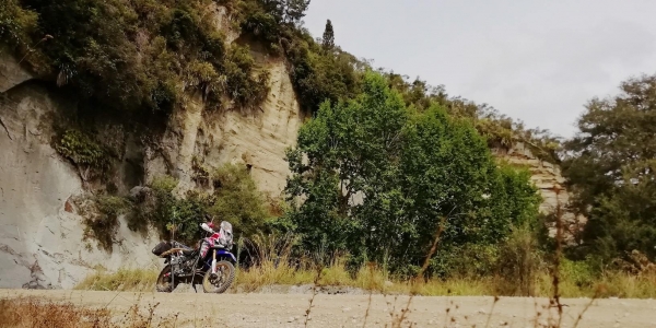 Whanganui Forest Loop