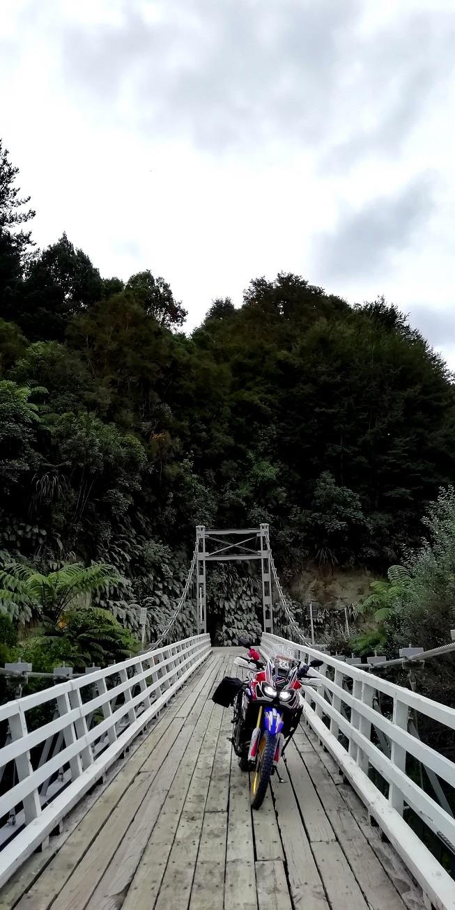 Whanganui Forest Loop