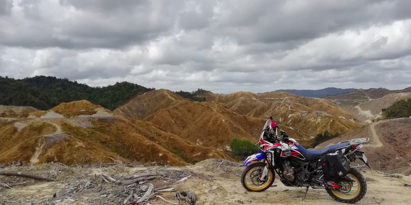 Whanganui Forest Loop
