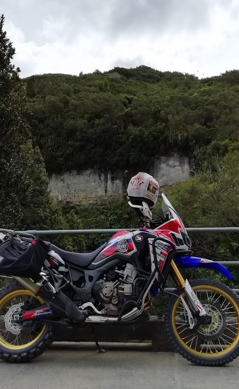 Whanganui Forest Loop