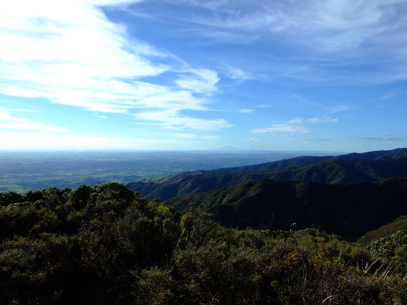 Looking North to Mt Ruapehu