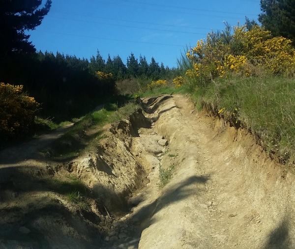 Ruts on Worsley Track
